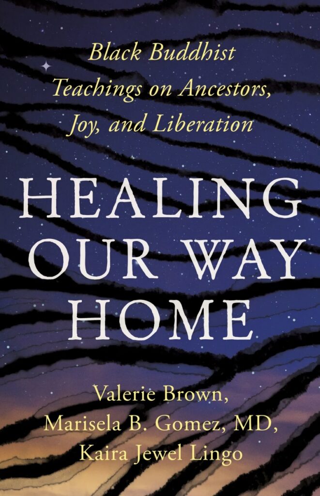 Healing Our Way Home book cover